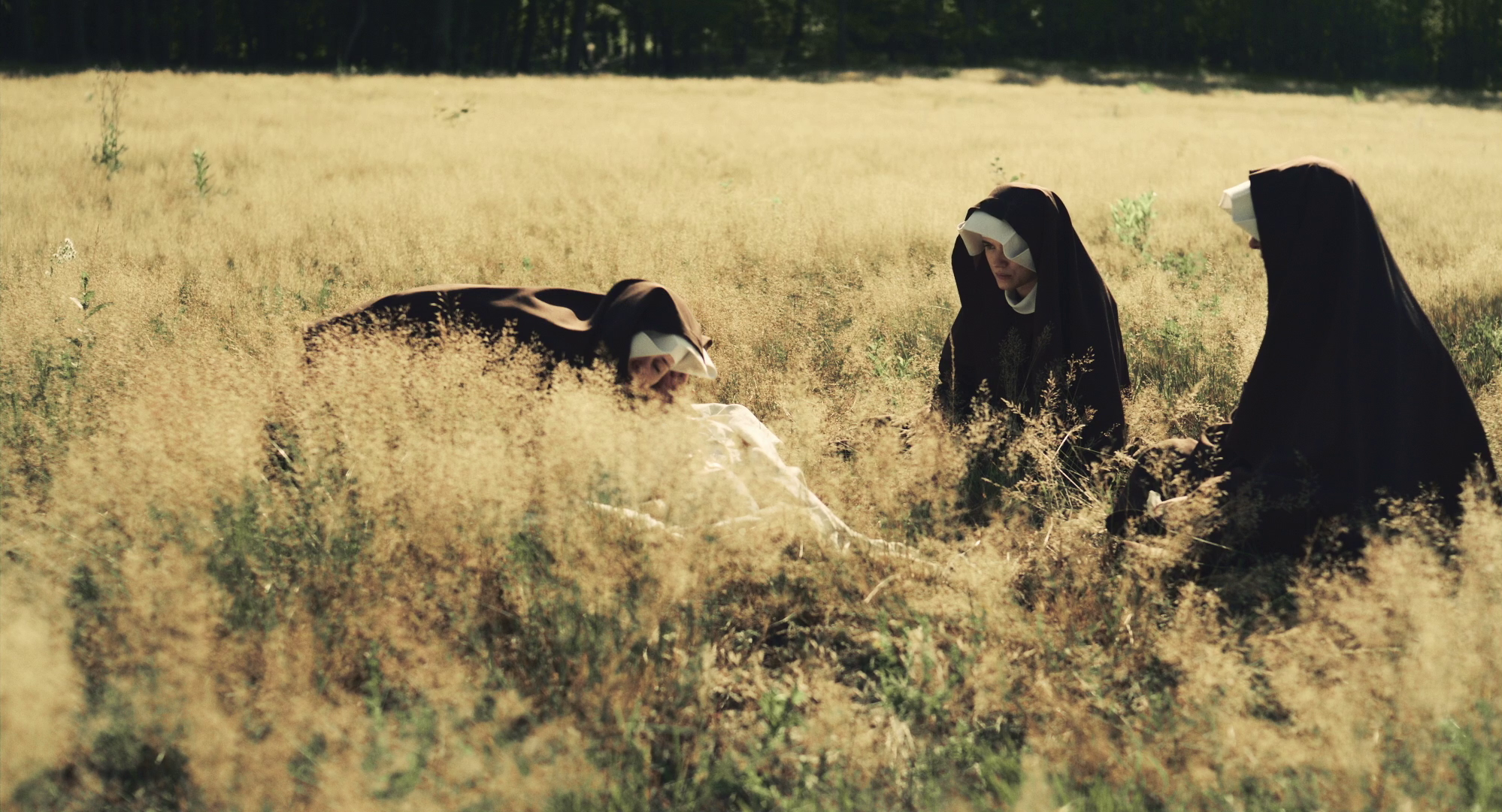 Still_1